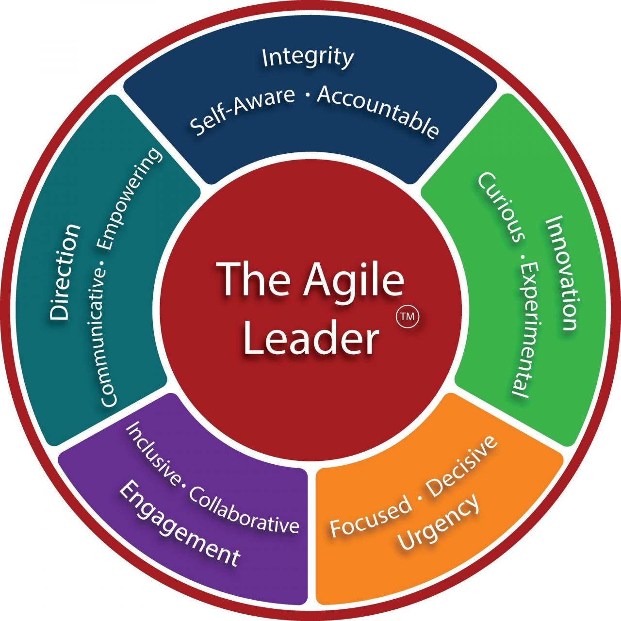 Agile management leadership in an agile environment