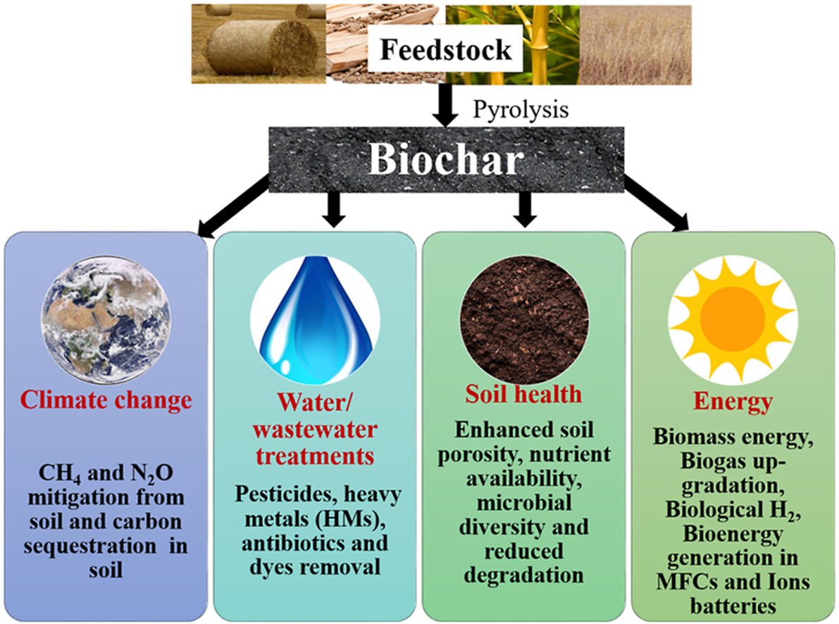 Biochar for environmental management an introduction