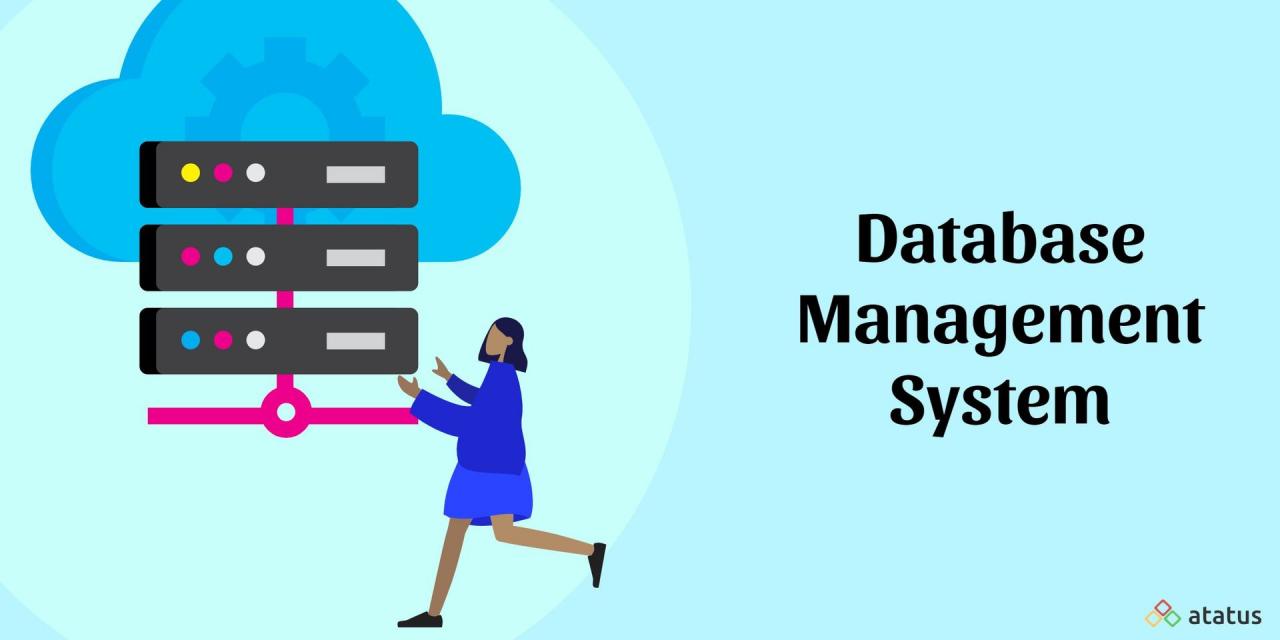 Importance of database management system in an organization