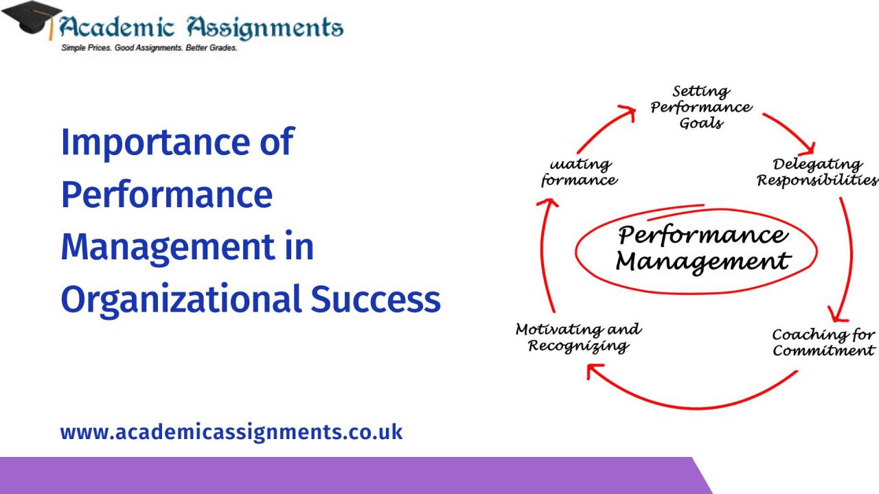 Importance of performance management in an organisation