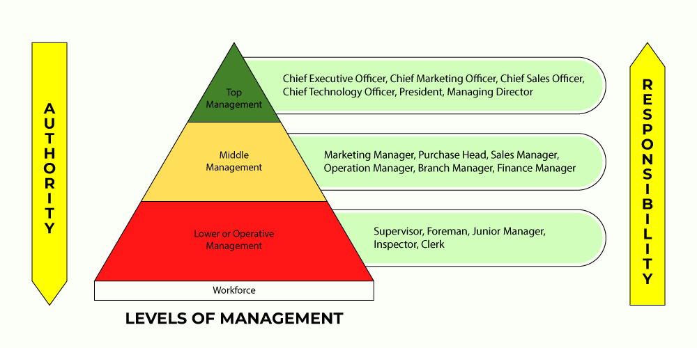 Different levels of management in an organization