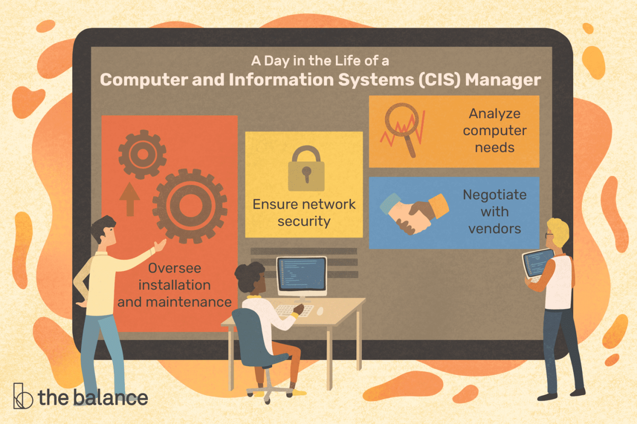 An information systems manager: