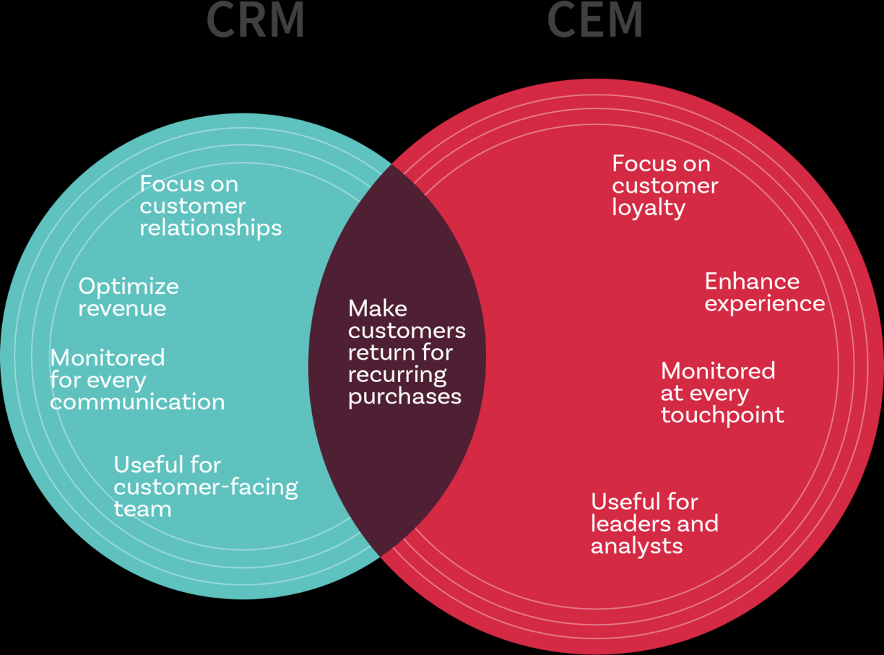 Customer experience management a critical review of an emerging idea