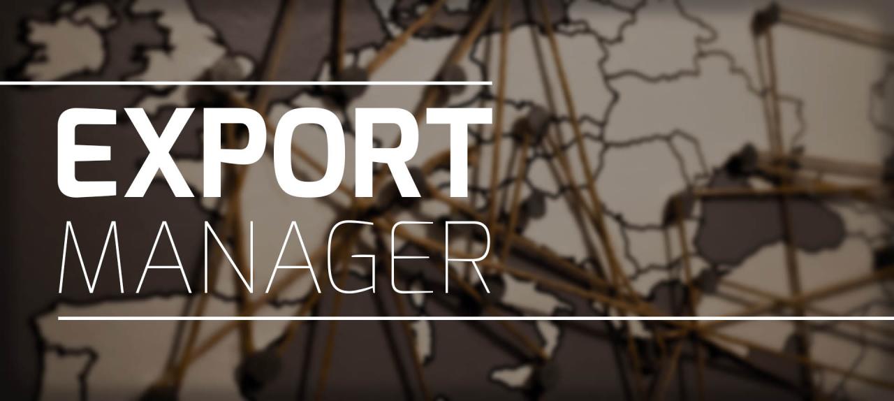 How to become an export manager