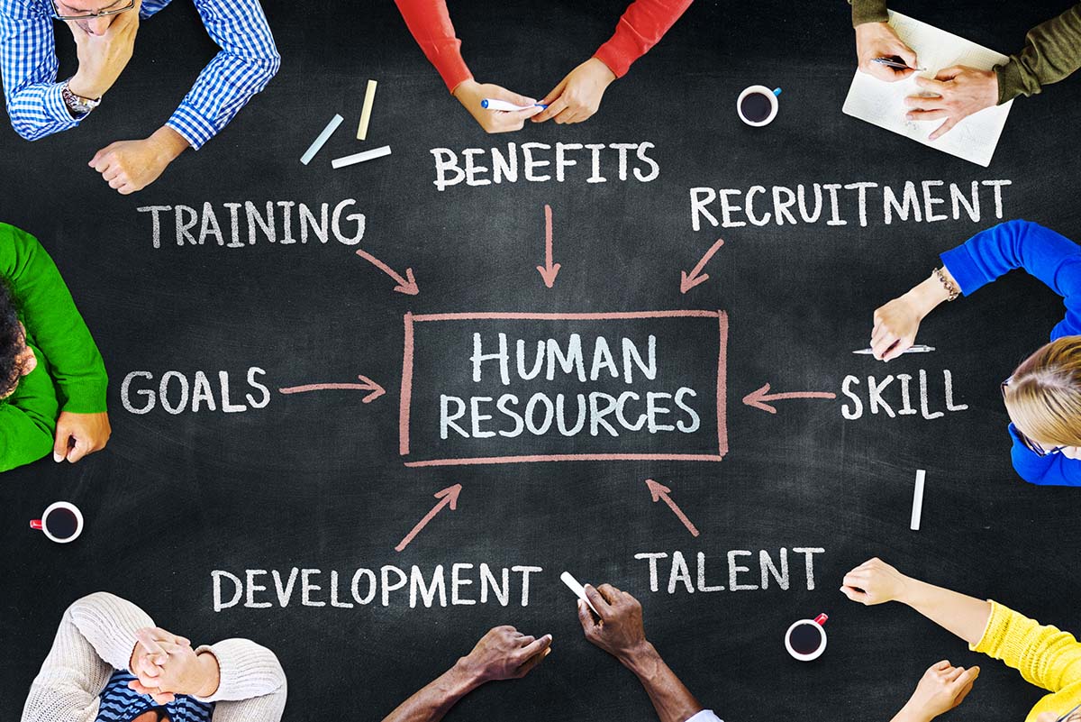 Human resource management activities in an organisation
