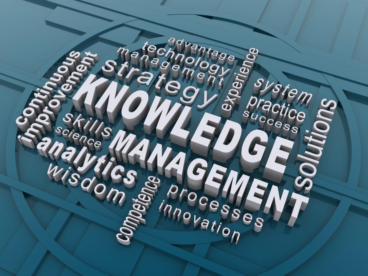 An introduction to knowledge management