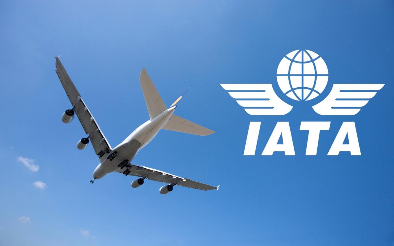 Air transport management an international perspective