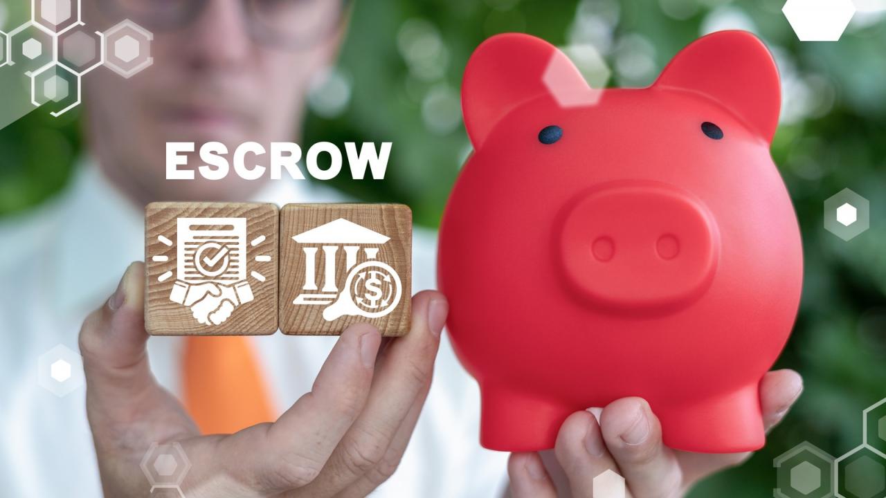Is it better to pay an escrow shortage in full