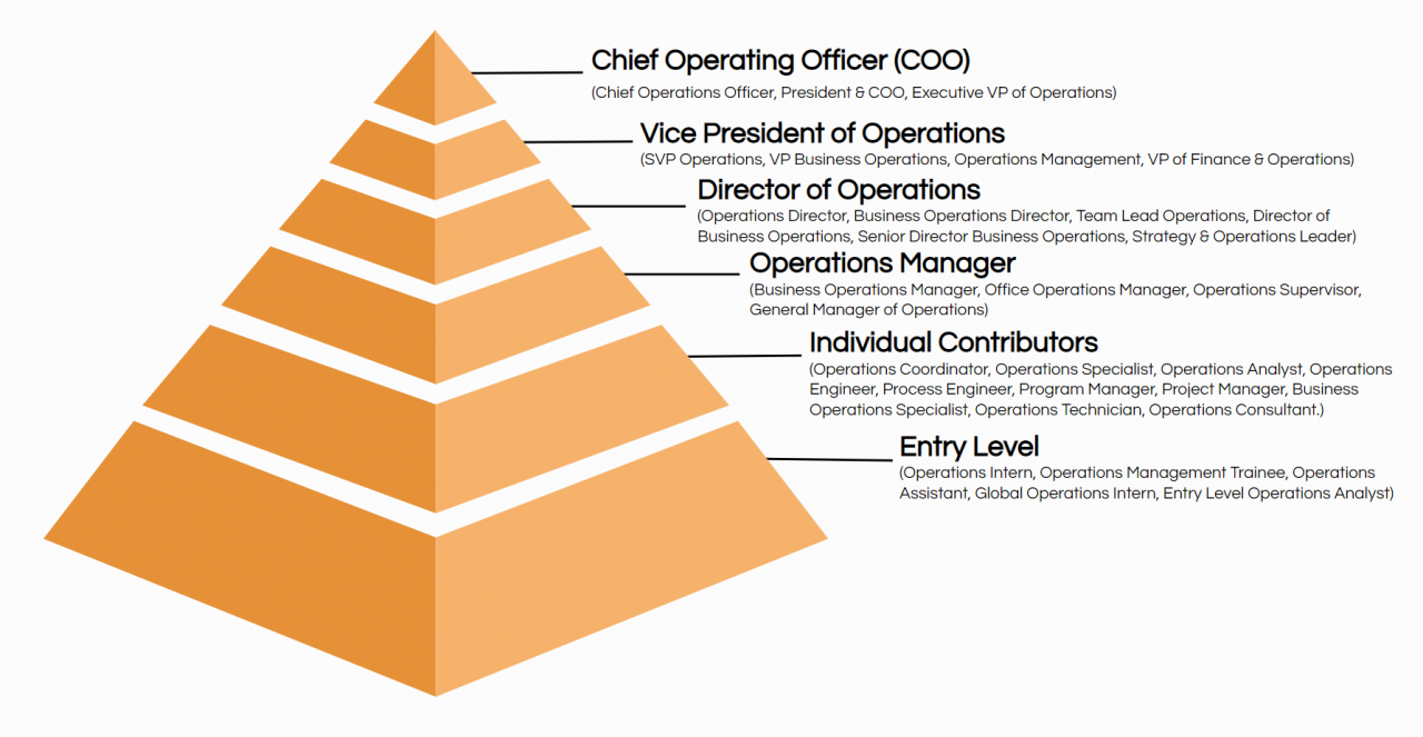 Duties of an operations manager in a logistics company