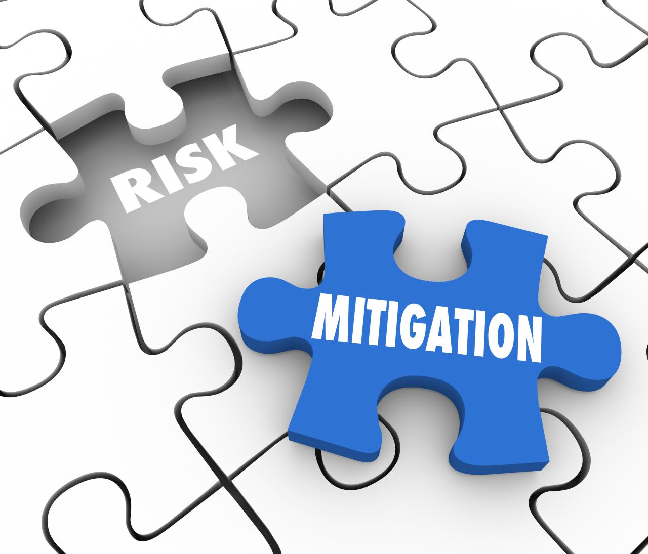 Describe risk management in an insurance industry