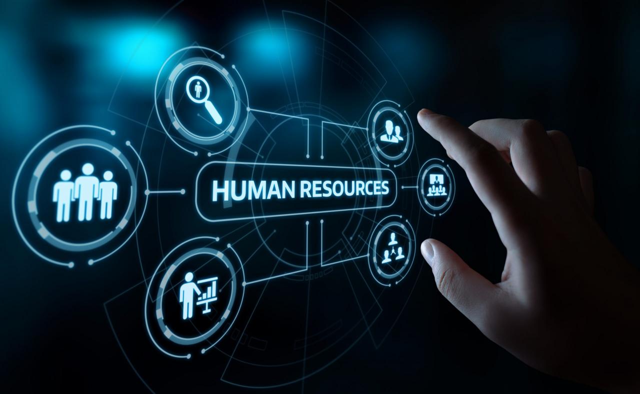 How to manage human resources in an organisation