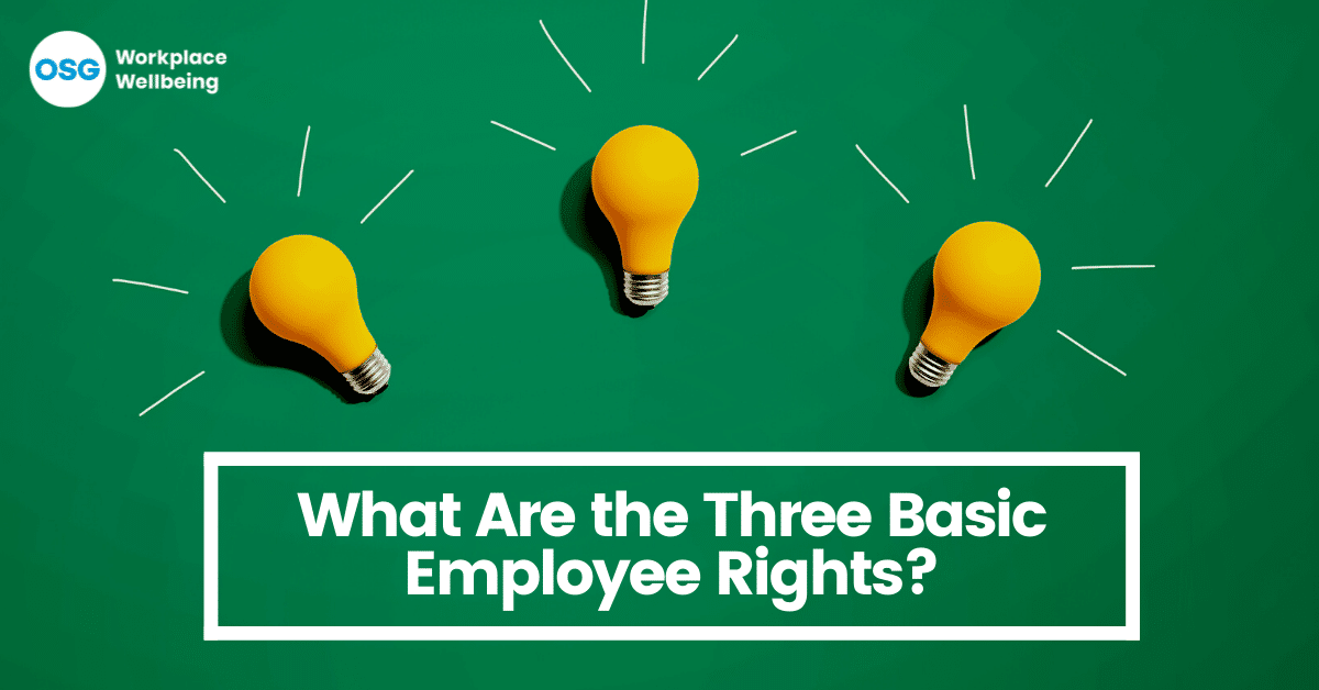 Basic employment rights for an employee