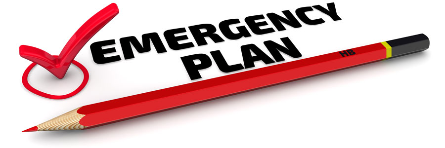 Draft an emergency management plan